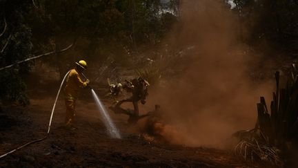 Un pompier du comté de Maui tente d'éteindre un feu lors des incendies qui ont frappé l'ile de l'archipel d'Hawaï, le 13 août 2023. (PATRICK T. FALLON / AFP)