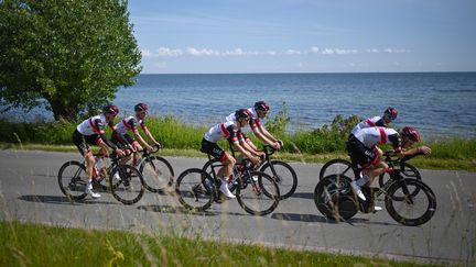 Les coureurs de la UAE Team Emirates lors d'un entrainement, le 29 juin 2022, à Copenhague (Danemark). (MARCO BERTORELLO / AFP)