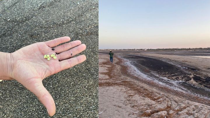 Près du complexe industriel, la plage est couverte de cristaux de soufre (à gauche) et de phosphogypse (à droite) (ELODIE GUEGUEN / RADIO FRANCE)