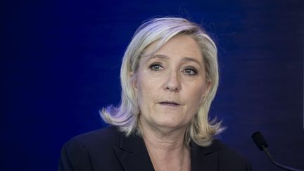 La présidente du Front national Marine Le Pen, le 17 mai 2016. (MAXPPP)