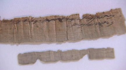 Le papyrus vieux de 2700 ans qui mentionne Jérusalem
 (France 3 / Culturebox)