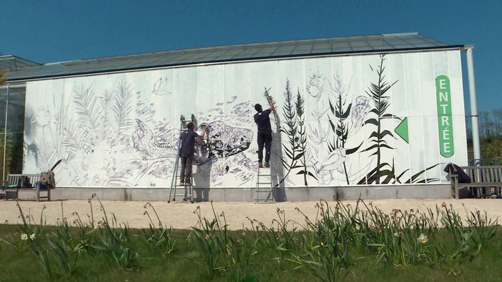 Nefase et Kero en plein chantier street art sur les serres des Jardins suspendus du Havre (France 3 Normandie)