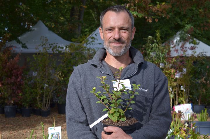 Frédéric Lantin cultive des petits fruits communs et insolites dans sa pépinière angevine, Ribanjou.&nbsp; (ISABELLE MORAND / DIMITRI KALIORIS / RADIO FRANCE / FRANCE INFO)