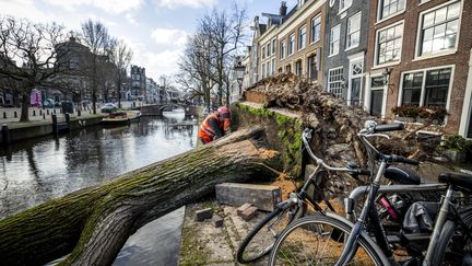 Des employés municipaux à l'œuvre dans les rues d'Amsterdam (Pays-Bas), après le passage de la tempête Eunice, le 19 février 2022. (REMKO DE WAAL / ANP / AFP)