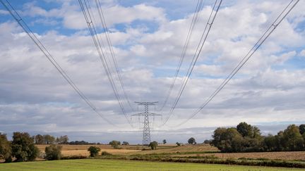 Une ligne à haute tension en France, le 1er novembre 2023. (JEAN-MARC BARRERE / HANS LUCAS / AFP)