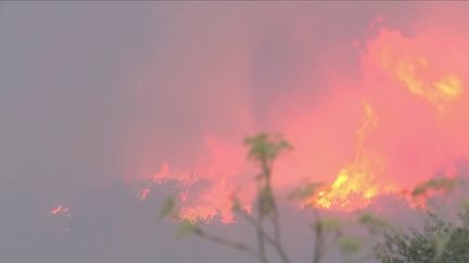 Grèce : de nouveaux incendies meurtriers ravagent le pays (France 3)