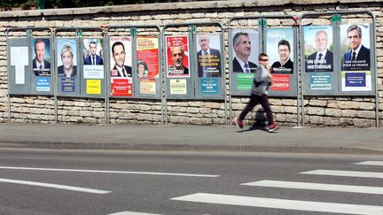 Les affiches des candidats à l'élection présidentielles à Pont-de-Roide, dans le Doubs, le 13 avril 2017. (MAXPPP)