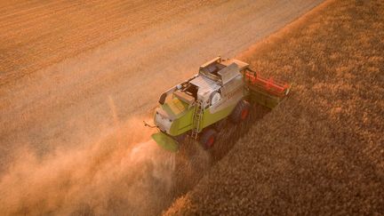 Glyphosate : certains agriculteurs y ont déjà renoncé