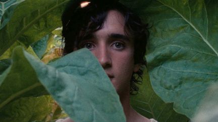 "Heureux comme Lazzaro" d'Alice Rohrwacher
 (Tempesta 2018)