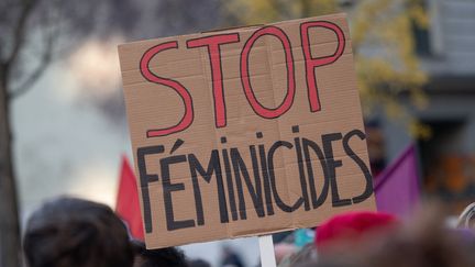 Une pancarte "Stop féminicides" brandie lors d'une manifestation à Nantes, le 25 novembre 2023. (ESTELLE RUIZ / HANS LUCAS / AFP)