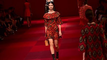 Dolce Gabbana pap féminin pe 2015, à Milan
 (GIUSEPPE CACACE / AFP)