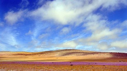 Le désert de l'Atacama