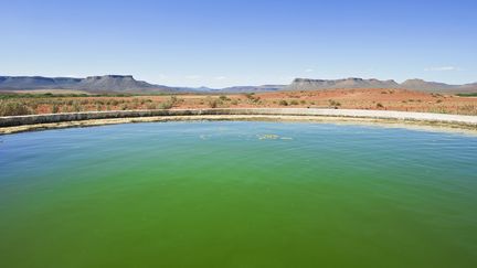 Afrique du Sud dans la province du Cap. Un réservoir d'eau pompée dans le sol par l'énergie éolienne. De l'eau pour l'élevage des moutons. (Illustration) (FRANZ ABERHAM / PHOTODISC / GETTY IMAGES)