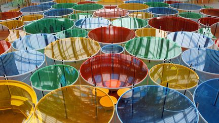 2012 &ndash; DANIEL BUREN &ndash; FRANCE &ndash; EXCENTRIQUE(S) -&nbsp;Pour cette cinqui&egrave;me &eacute;dition de Monumenta qui ouvre au public jeudi 10 mai, Daniel Buren convie le public &agrave; s'&eacute;garer dans une for&ecirc;t de ronds multicolores. (FRANCOIS GUILLOT / AFP)