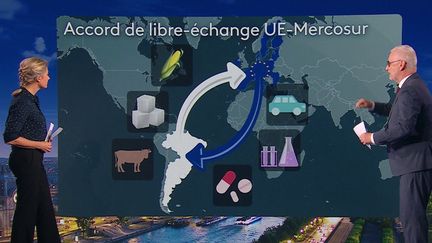 Colère des agriculteurs : en quoi l’accord UE-Mercosur est défavorable à la France ?