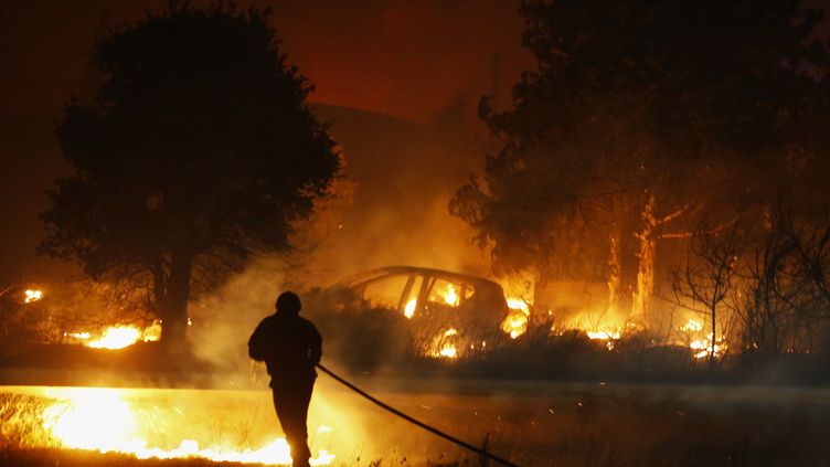 La Croix Valmer La Bastidonne Olmeta Di Tuda Ce Que L On Sait Des Incendies Dans Le Sud Est De La France