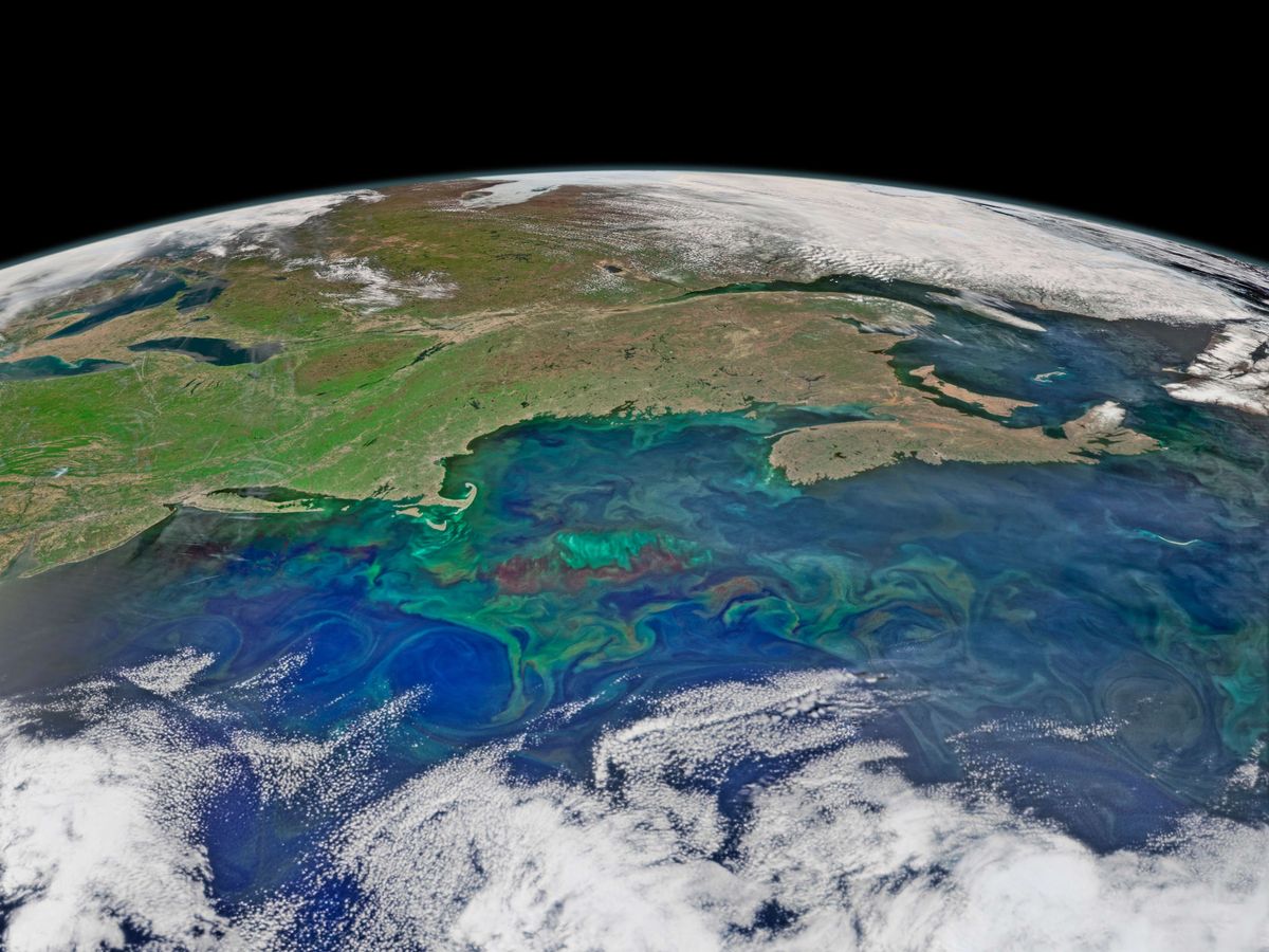 Faut-il s'inquiéter du ralentissement d'une partie du Gulf Stream ?