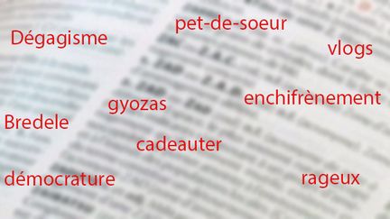 Les nouveaux mots pour les dictionnaires Larousse et Robert 2019
 (Culturebox)