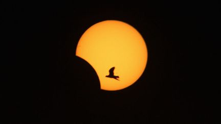 L'&eacute;clipse partielle de soleil vue depuis Sidon (Liban), le 3 novembre 2013. (REUTERS)