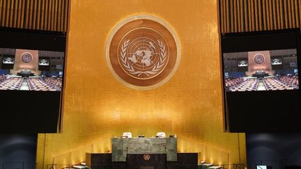 L'Assemblée générale de l'ONU à New York (Etats-Unis), le 3 novembre 2021. (BRYAN R. SMITH / AFP)