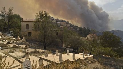 Algérie : de violents incendies ravagent la Kabylie