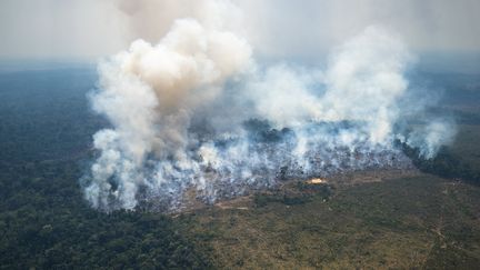 Un incendie dans la forêt amazonienne, en Colombie, le 4 février 2022.&nbsp; (KAREN SALAMANCA / COLOMBIAN DEFENSE MINISTRY / AFP)