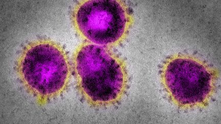 Cinq nouvelles personnes ont &eacute;t&eacute; tu&eacute;es par le coronavirus, en Arabie Saoudite, rapporte le minist&egrave;re de la sant&eacute; du pays, samedi 26 avril. (CALLISTA IMAGES / CULTURA CREATIVE)