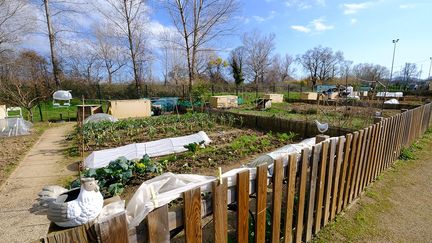 Les jardins partagés sont&nbsp;installés dans le quartier du Capitou, à Mandelieu-la-Napoule.&nbsp; (ISABELLE MORAND / DIDIER HIRSCH / RADIO FRANCE / FRANCE INFO)