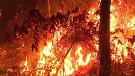 Un violent incendie à Bessèges, dans le Gard, a déjà détruit plus de 650 hectares, vendredi 8 juillet. Les pompiers sont toujours sur le pont, et les habitants sous le choc.&nbsp; (FRANCE 3)