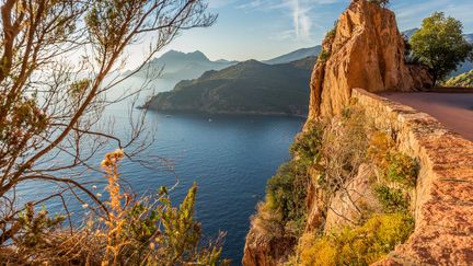 Corse : la réserve naturelle de Scandola est en péril