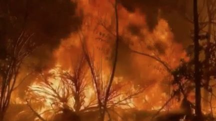 Aux États-Unis, les pompiers de Californie doivent faire face à un incendie de très grande ampleur.&nbsp;&nbsp;Le feu qui sévit au nord de Los Angeles a déjà ravagé plus de 4&nbsp;000 hectares de brousse. Des centaines d’habitations ont dû être évacuées. (FRANCE 2)