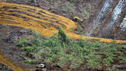 L’Indonésie comme d’autres pays tropicaux ont augmenté leurs productions d’huile de palme pour répondre a la demande mondiale.
	  (AFP PHOTO / ROMEO GACAD)