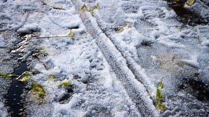 De possibles chutes de neige sont annoncées dimanche 1er décembre. (AMAURY CORNU / HANS LUCAS / AFP)