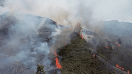 Incendies en Grèce, Italie, Algérie : pourquoi le pourtour méditerranéen s'embrase ?