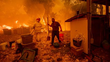 L'incendie qui frappe le comté de Mendocino a&nbsp;entraîné l'évacuation de plus de 2 000 habitants et détruit plus de 100 bâtiments, selon un dernier bilan réalisé le 4 août 2018. (NOAH BERGER / AFP)