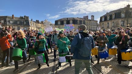 Des centaines de personnes manifestent, dimanche 11 février, à Bordeaux contre un projet de nouveaux forages pétroliers en Gironde. (GILLES PAPIN / FRANCE TELEVISIONS)