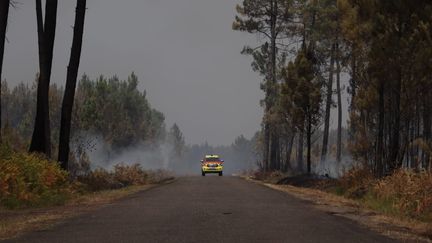 Incendie à Moustey (Landes) le 11 août 2022 (CECILE DA COSTA / RADIO FRANCE)