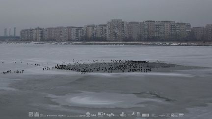 Affiche du film «Sieranevada» de Cristi Puiu, en compétition pour la Palme d'Or de la 69e édition du Festival de Cannes (DR)