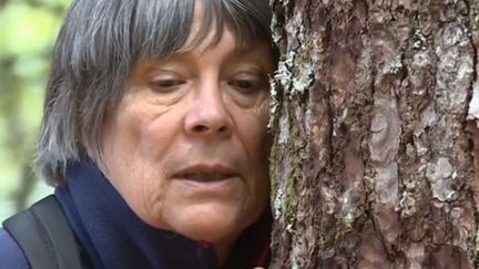 Une promeneuse tente de ressentir les vibrations d'un arbre du sylvaotirum de Mont-Dore (Puy-de-Dôme). (FRANCE 3)