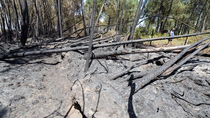 Quelque 580 hectares ont br&ucirc;l&eacute; sur la commune de Saint-Jean-d'Illac, en Gironde. Un habitant &eacute;vacu&eacute; retourne chez lui le 28 juillet 2015.&nbsp;&nbsp; (MEHDI FEDOUACH / AFP)