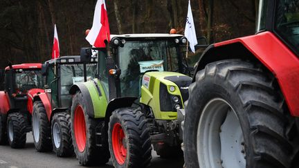 In Poland, farmers denounce an untenable economic situation.  (Illustrative photo) (BEATA ZAWRZEL / NURPHOTO)