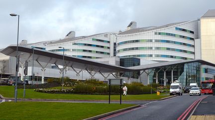 L'h&ocirc;pital&nbsp;Queen Elizabeth de Birmingham (Royaume-Uni), le 15 octobre 2012. (ANDREW YATES / AFP)