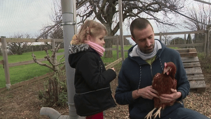 Animaux : la deuxième vie des poules pondeuses (France 3)