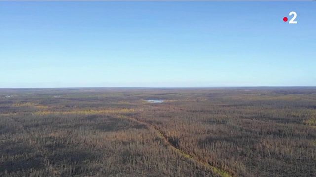 Sibérie : de lourdes conséquences suite aux incendies géants