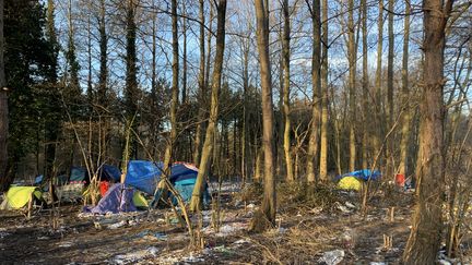 Des tentes&nbsp;installées dans le bois de Grande-Synthe (Nord), le 9 février 2021. (MATHILDE VINCENEUX / RADIO FRANCE)