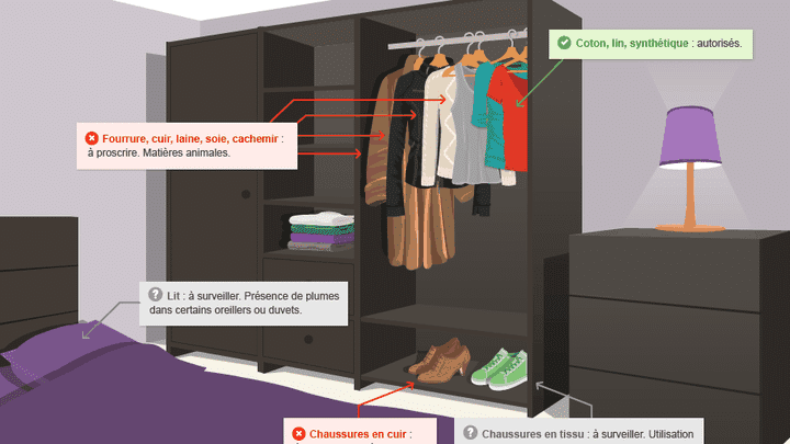 Être vegan : dans la chambre (franceinfo)