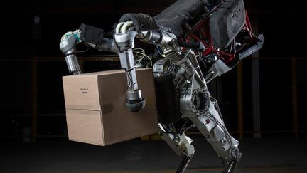 Le robot Handle de la firme américaine Boston Dynamics est capable de transporter des charges de 15 Kg (Boston Dynamics)