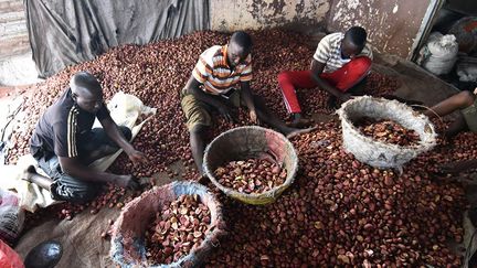 ont parfois du mal à vendre leurs productions car ils sont soumis aux lois du marché dictées par de grands groupes qui leurs imposent des prix dérisoires. L’exportation de la noix reste difficile vers les pays d’Asie ou d’Europe. Le Mali, le Burkina Faso, le Niger, la Guinée, et le Ghana constituent les principaux marchés. (Sia Kambou / AFP)