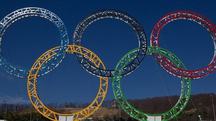 Les anneaux olympiques à Sochi (MIHAIL MOKRUSHIN / RIA NOVOSTI)