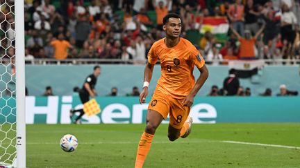 Cody Gakpo, ici buteur avec les Pays-Bas contre le Sénégal, a été le premier joueur à bénéficier de sa bonne Coupe du monde pour signer dans un nouveau club. (OZAN KOSE / AFP)